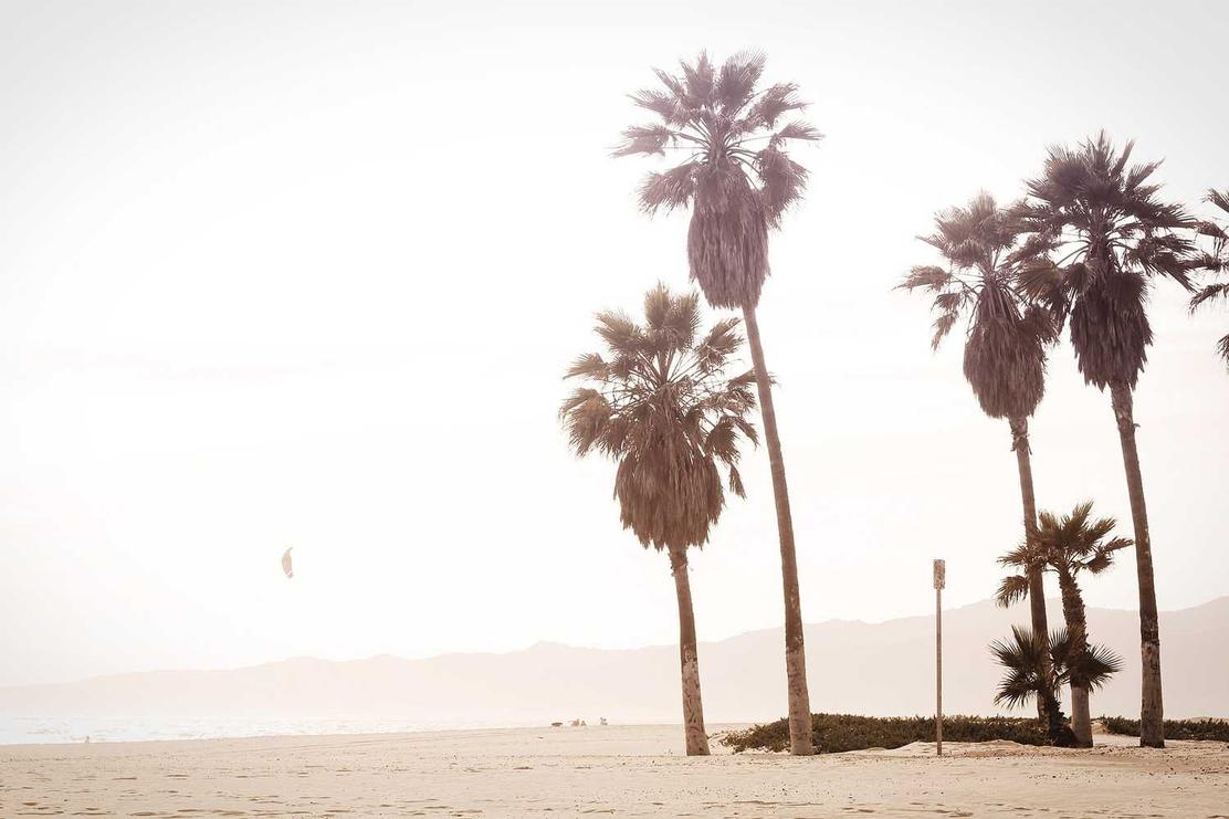 Sint deleniti velit perspiciatis assumenda